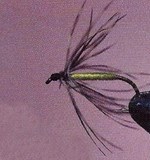 Soft-Hackle