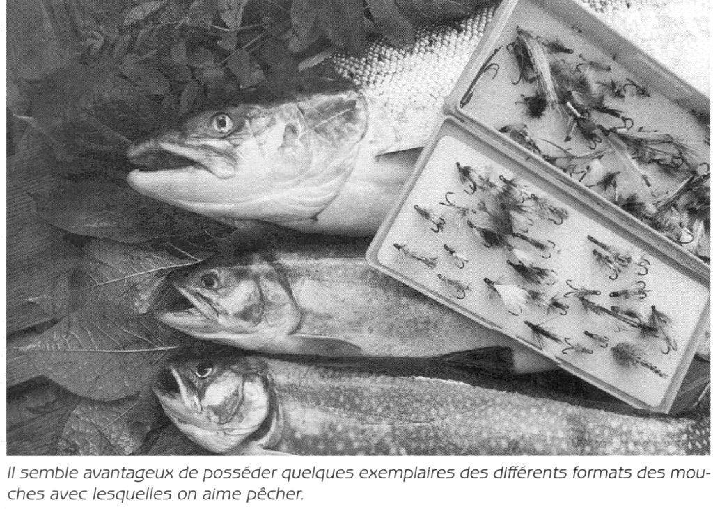 JYSWDZ Étau rotatif complet pour montage de mouches, kit d'étau de pêche, avec base et mâchoires