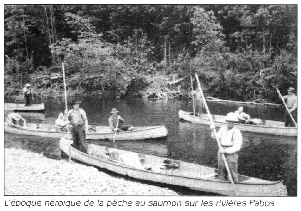 Déjouer les saumons de la Rivière de la Chaloupe, une aventure à vivre