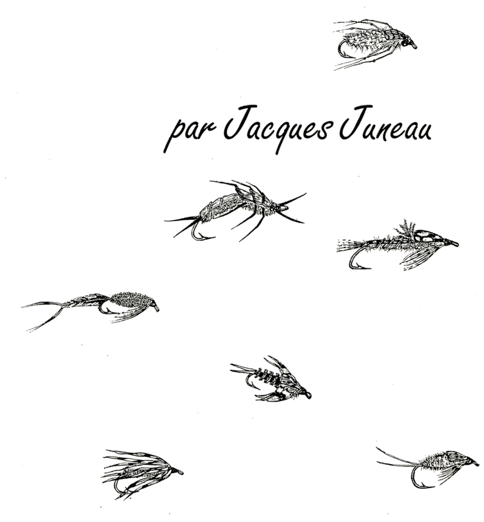 493504_5 493504_5