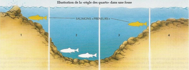 Saumon Atlantique Chapitre III; La Rivière