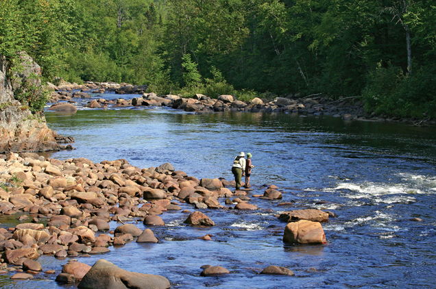 Quels sont les meilleurs appâts pour pêcher la truite - Pêche en riviere