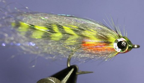 BAITFISH STREAMER FLY