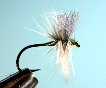 BLUE WING OLIVE