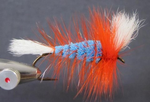 BLUE & ORANGE (AILE "V")