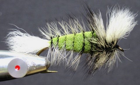 CHARTREUSE & BADGER (AILE "V")