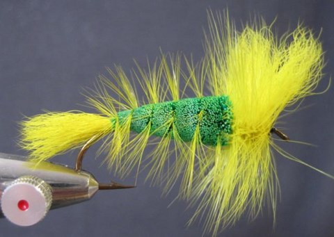 GREEN & YELLOW (AILE "V")