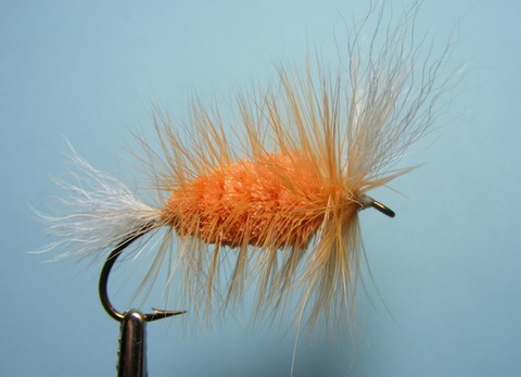 BOMBER CREVETTE (AILE "V")