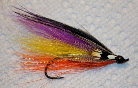 bucktail; magog favorite