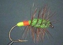 GREEN; GREEN/RED BUTT