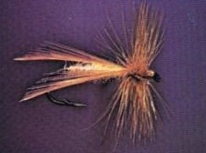 CADDIS DELTA WING GINGER