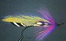 CAINS RIVER SCOTCH LASSIE