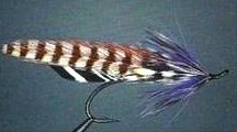 CAINS RIVER SILVER DOCTOR