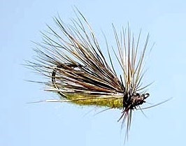 DANCING CADDIS