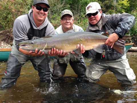 Donald Pelletier leurre un saumon de 35 lb avec la mouche Gérard-Bilodeau