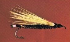 EDSON TIGER (DARK)