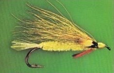 EDSON TIGER (LIGHT)