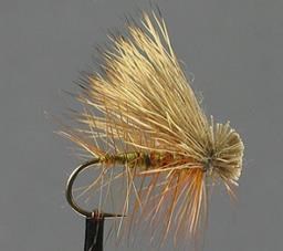 ELK HAIR CADDIS