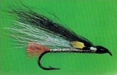 ESOPUS