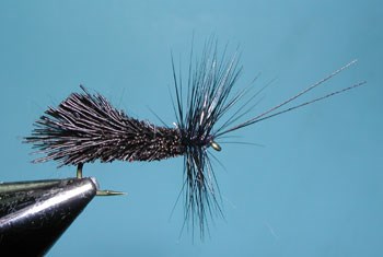Goddard Caddis, Black 