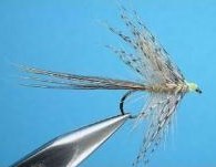 HACKLE MAYFLY