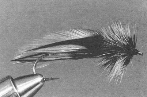 La DELTA PLANE Streamer