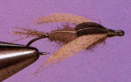 La Elmer
