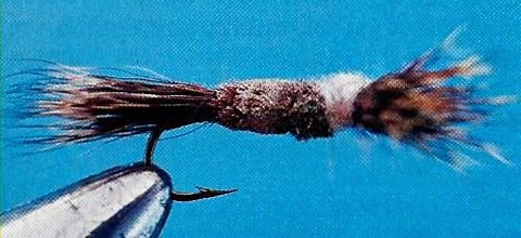 LA MOUSTACHE À JEAN-GUY