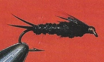 La Perle de la Rivière