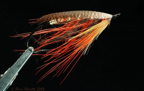 La Speynibble