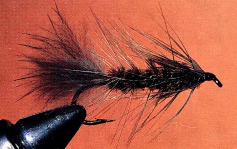 La Woolly Stone Bugger