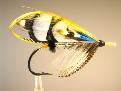 Lady Amherst classique