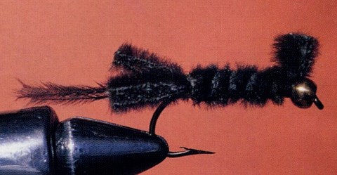 l'Écrevisse de Christopher