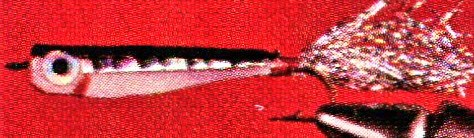 Le Méné a Dos Noir