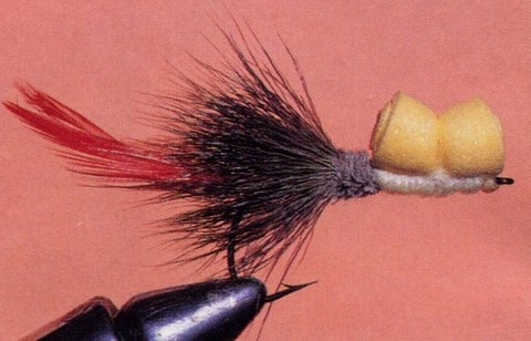 Le popper Laideron jaune