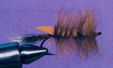 Les Crustacés volants