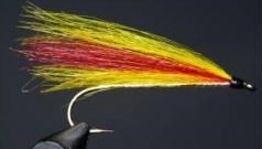 MICKEY FINN