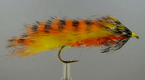 Musquaro Dancing Fly