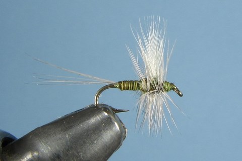 Olive Quill Dun