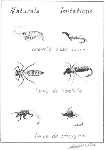 Comment pêcher à la nymphe?