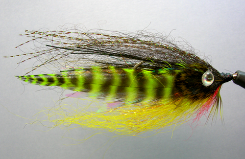 PERCH MINNOW