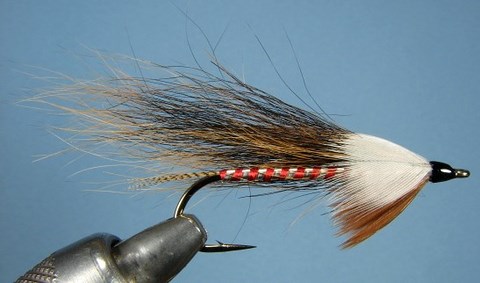 Roxey's Fox Squirrel tail 