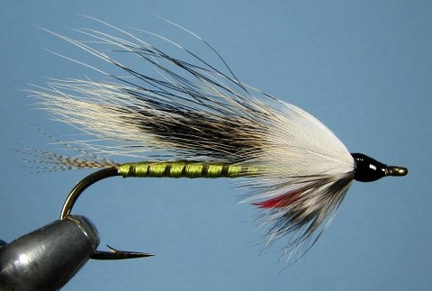 Roxey's Gray Squirrel tail