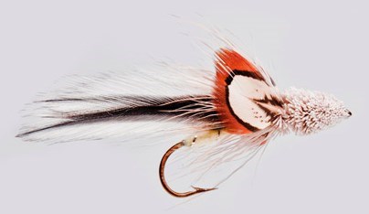 Sculpin Badger