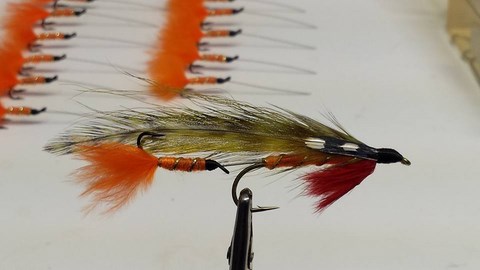 streamer; 01