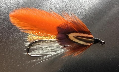 streamer; 01