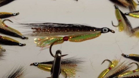streamer; 03