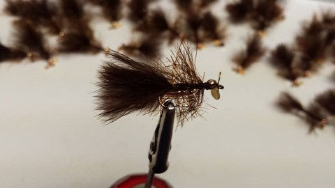 streamer; Wolly Bugger