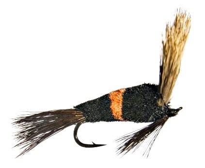 WALLER WALKER Bumblebee