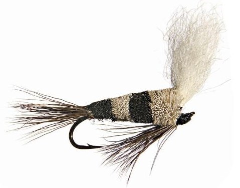 WALLER WALKER Standard